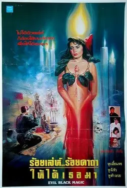 明天不是羔羊