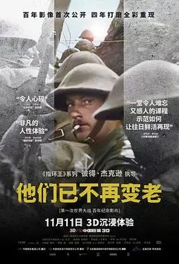重生之静候锦年