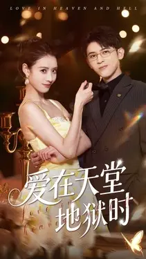 手机视频网