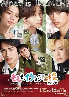 大公鸡导航高清